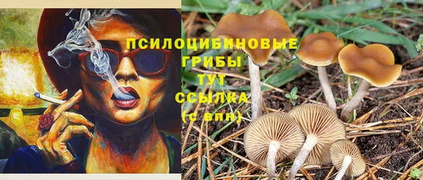 мяу мяу кристалл Коряжма