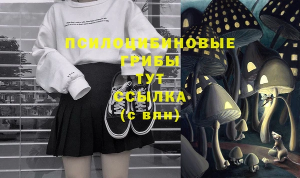 мяу мяу кристалл Коряжма